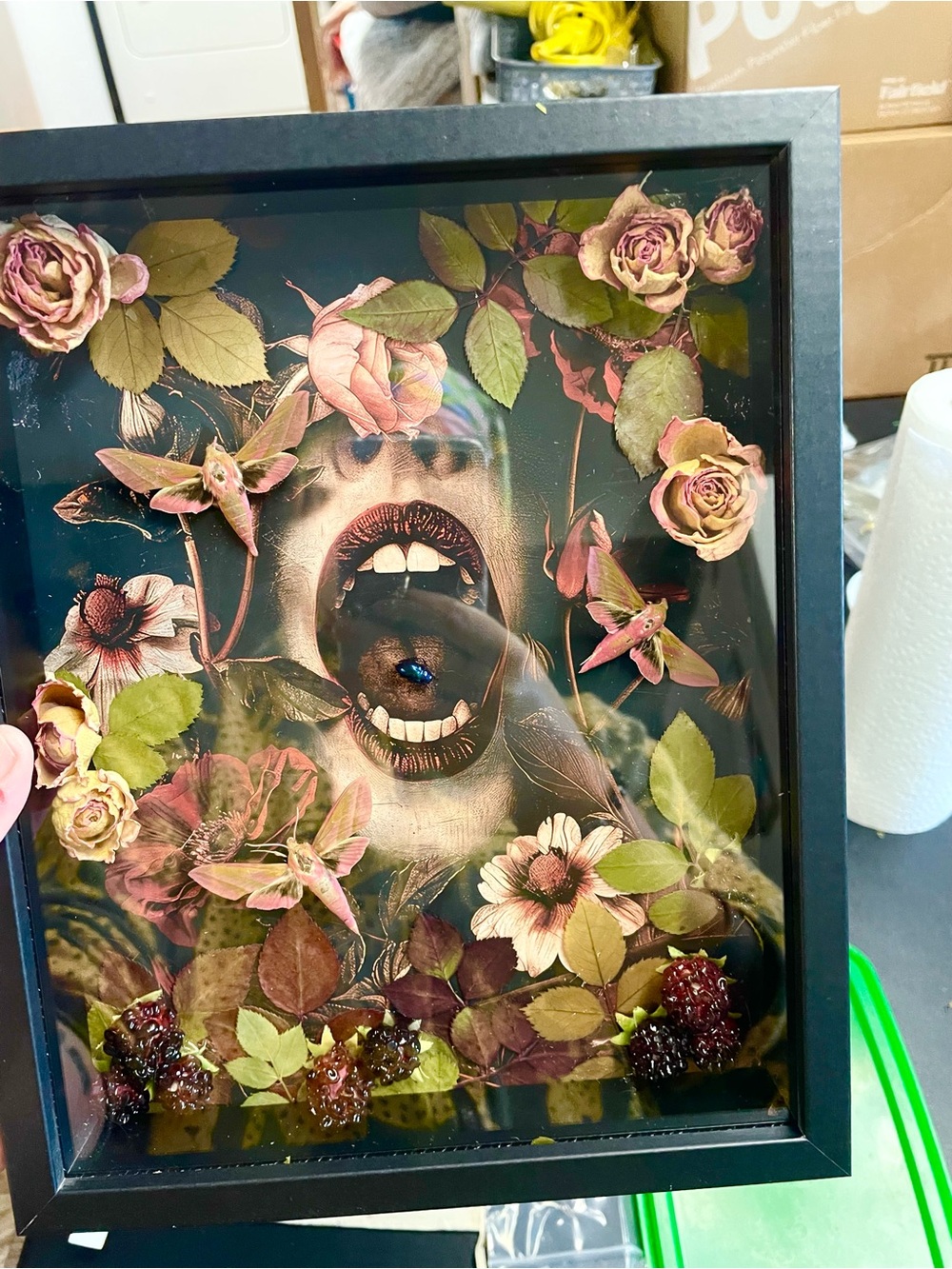 Femme Vampire Garden Shadow Box With Pink Hawk Moths